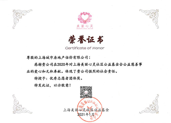 优秀志愿者团体奖荣誉证书2021