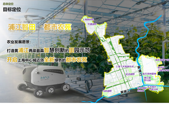 闵行区乡村振兴规划研究