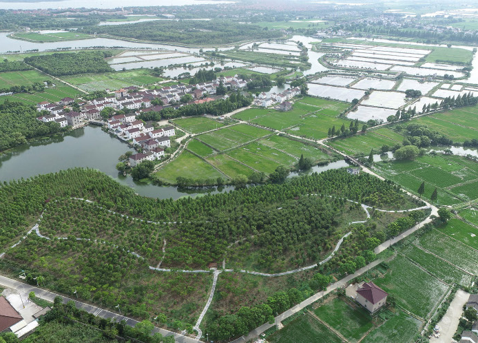 上海市全域土地综合整治试点工作及相关研究