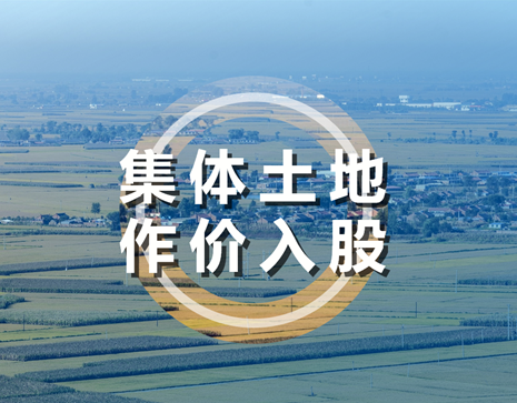 集体土地盘活路径探索之“作价入股”——乡村振兴与生态修复篇