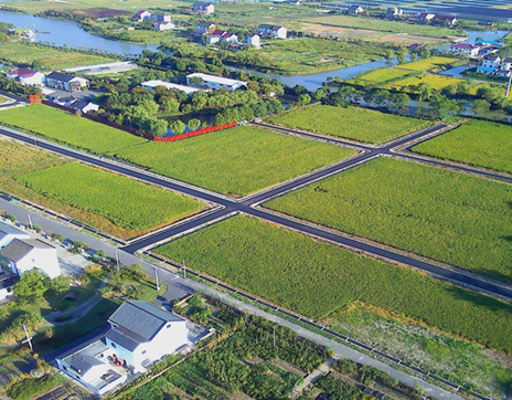 我司全流程护航水库村蝶变之路——乡村振兴与生态修复篇