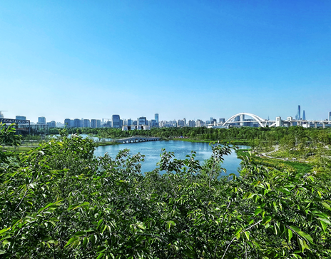 【更新手记】世博文化公园——城市更新篇