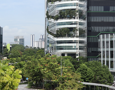 新加坡产业园区调研分享之【产业白地政策】——产业发展篇