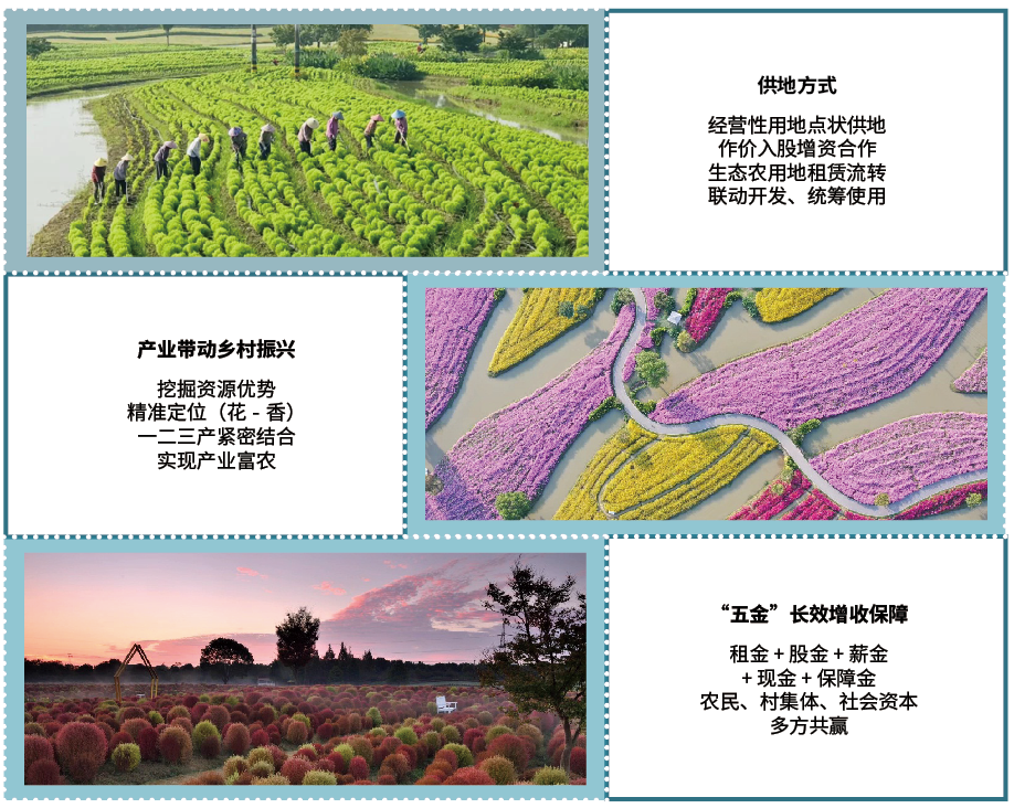 金山区朱泾镇花海小镇集体土地使用综合咨询