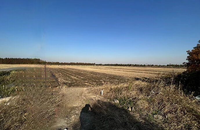 松江区新浜镇市级土地整治项目投资监理